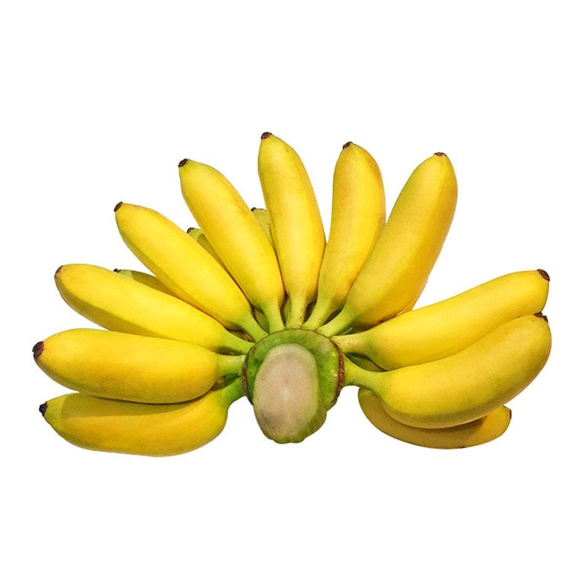 Banana 2